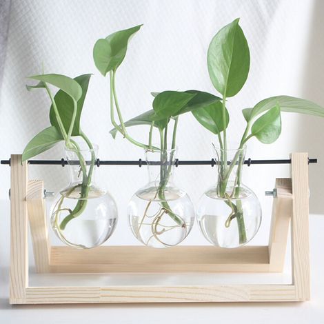 Station de multiplication des plantes avec support en bois, terrarium pour plantes, décoration de bureau à domicile, support en bois pour jardinage, trois bouteilles (1/5)