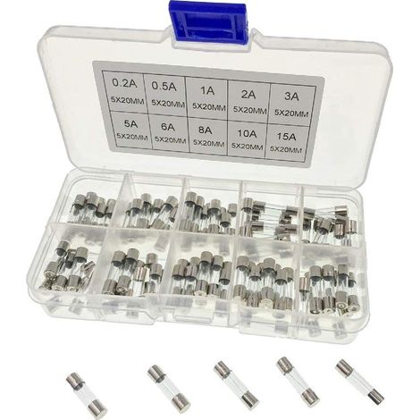 100x Ensemble de fusibles en verre à soufflage rapide, 20 x 5mm, kit de fusibles à soufflage rapide avec boîte à fusibles en plastique transparent et valeurs de 10 Amp: 0.2A 0.5A 1A 2A 3A 5A 6A 8 (1/5)
