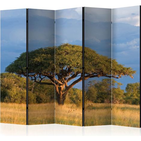 Paravent 5 Volets "African Acacia Tree, Hwange National Park, Zimbabwe" 172x225cm (1/2)
