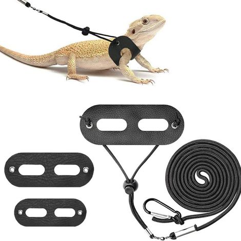 Ensemble de laisses pour dragon barbu - Laisse réglable en cuir pour lézards et reptiles (tailles S, M, L, ensemble de 3 pièces) (1/5)