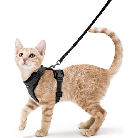 Katzengeschirr, kleine Hundeleine, verstellbares Kätzchengeschirr, schwarz, Größe S, reflektierendes Katzengeschirr-Halsband, atmungsaktive Weste für Kaninchen, Europäisch Kurzhaar, Maine Coon, Perser