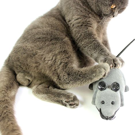Jouet électrique pour chat en forme de souris avec télécommande sans fil (gris) (1/5)