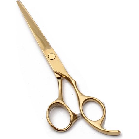 Ciseaux À Éclaircir - 16,5 cm - Lame Dentée Et Lisse En Acier Inoxydable - Ergonomiques À Poignée Décalée - Pour Coiffeurs Et Utilisation Domestique - 1 Paire (1/5)