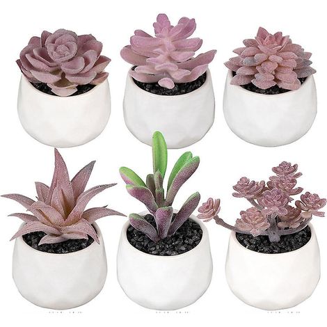 pots Succulents En Cramique De 6 Pices Flocage Dcoration De La Maison Simulation Plante Succulente Ensemble De Bonsa (1/5)