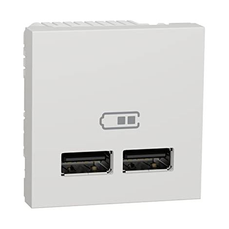 Cargador doble USB 2,1A 1 modulo polar SCHNEIDER NU341818 (1/4)
