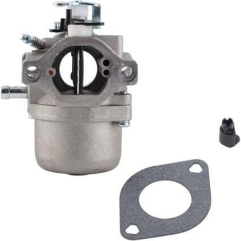 Aiperq Carburateur moteur pour Briggs & Stratton 285707,289707,28B705,28M707
