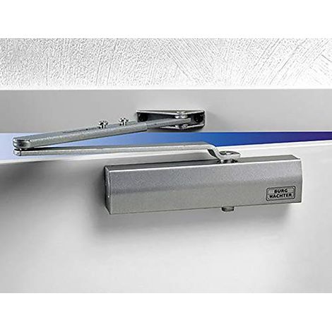 BURG-WÄCHTER Chiudiporta per porte interne, Meccanismo idraulico, Regolabile, Larghezza fino a 110 cm, Peso fino a 80 kg, TS 504 S, argento