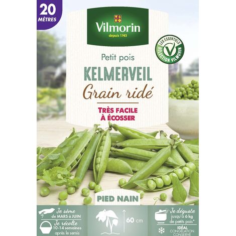 Vilmorin Pois Nain à Grain Ridé Kelmerveil - 20 m (1/2)