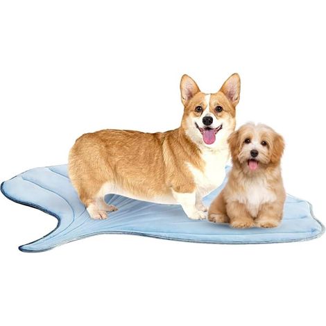 Tapis rafraîchissant pour chiens Tapis antidérapant (1/5)