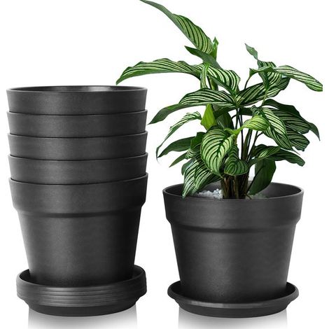 Set di 6 vasi da fiori con sottovasi, rotondi, diametro 20 cm. (1/5)