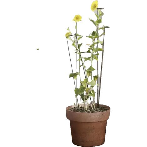 Soporte para plantas, acero resistente, para plantas trepadoras, color verde militar. (1/2)