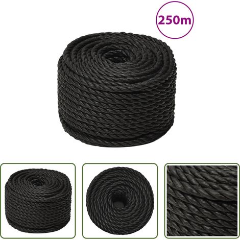 vidaXL Polypropylen - Arbeitsseil Schwarz 10 mm 250 m Polypropylen (1/5)