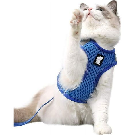 Harnais et laisse pour chat ultraléger, collier pour chaton doux et confortable pour promener chiots et lapins, en tissu cationique (Bleu, M) (1/5)