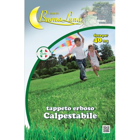 SEMI PRATO CALPESTABILE 1 KG- HORTUS SEMENTI- 1,0 pz
