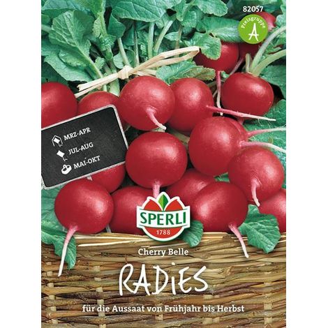 Sperli Radieschen Cherry Belle - Gemüsesamen (1/4)
