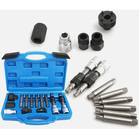 kit d'outils alternateur 32 pièces, coffret réparation alternateur avec douilles et embouts, outil alternateur voiture pour Audi BMW Mercedes (1/5)