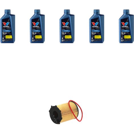 Kit filtro olio e 5L compatibile con Kia Sorento II (XM) 2.4 LPG 126kw dal 2010 (1/5)