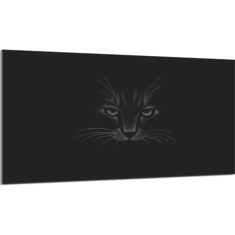 Piastra protettiva in vetro per la stufa 90x52 Cat (1/5)