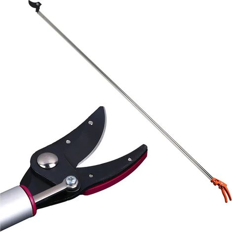 Techniques de taille lagage dextension longue porte (1/5)