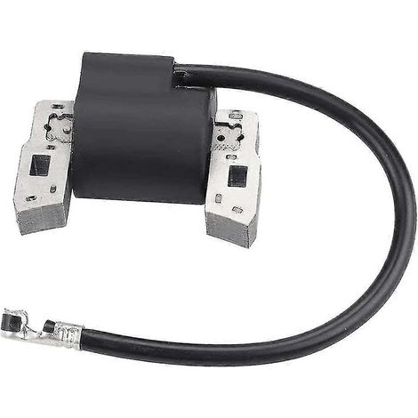 Bobine d'allumage pour moteur Briggs & Stratton 397358 (1/5)