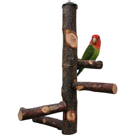 Perchoir en bois naturel pour perroquet, cage à oiseaux, perchoir pour cage à oiseaux, P (1/5)