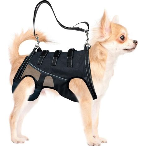 Lifting harness for disabled dogs