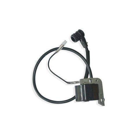 S-giant Kit de 2 Bobines d'Allumage Compatible avec 25 584 15-S, 25584105-S, 25 584 105-S (1/4)