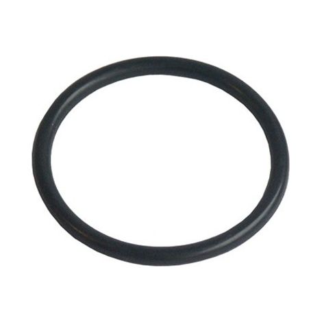 Guarnizione a O raccordo originale - Lavatrice - WHIRLPOOL - 53523