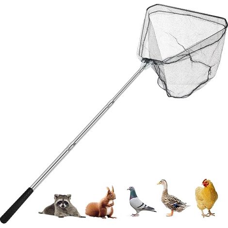 Filet De Capture Pour Volailles - Manche Telescopique Acier Inoxydable 60-117 Cm - Pour Poulets Canards Oiseaux Petits Animaux - 1 Piece (1/3)
