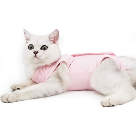 Convient aux plaies bombées ou aux affections cutanées Alternative pour les chiens et les chats Wear M rose après la chirurgie (1/4)