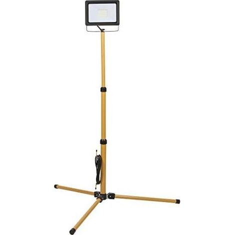 Projecteur LED W50 Télescopique 62681 Fme