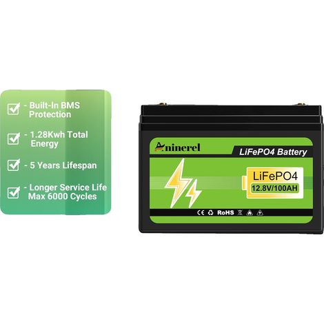 Batterie au Phosphate de Fer Lithium, Haute Capacité, Longue Durée de Vie, batterie-12V-100AH (1/2)