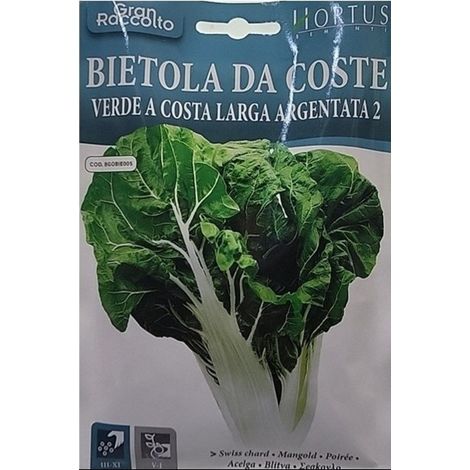 Bietola da Coste grüne Stangen 2 Gran Raccolto