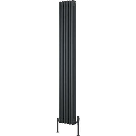 Reina Colona 2 Column Vertical Radiator 1800mm H x 290mm W - Anthracite (1/4)