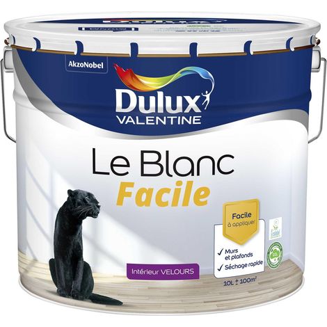 Peinture Le Blanc Facile Dulux Valentine Velours Blanc 10 L