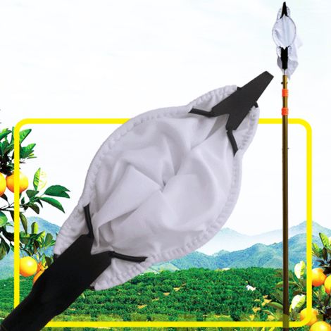 Cueille-fruits en métal, ramasseur de fruits portable, outil de récolte et de jardinage (1/5)