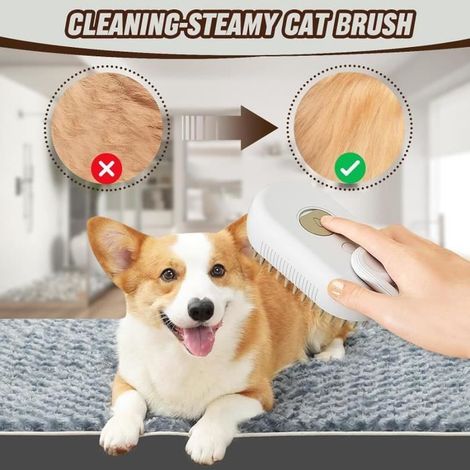 Brosse pour animaux - Brosse Chat Vapeur - 3 en 1 - Épilation - Massage - Nettoyage (1/4)