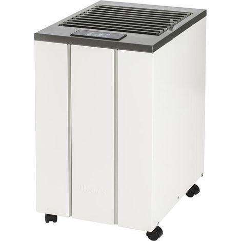 Wood's LD40 deshumidificador blanco capacidad 13L