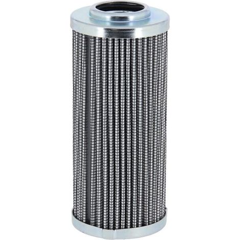 Filter LANDINI 3556455M1