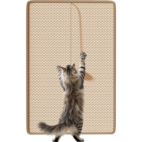Griffoir pour chat Griffoir avec balles de jeu pour chatons (1/5)