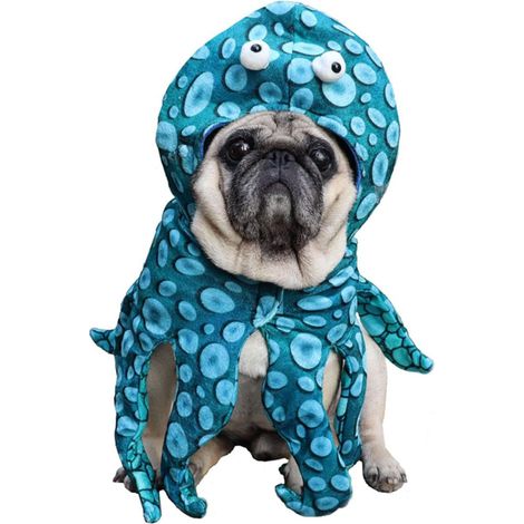Chapeau de pieuvre d'Halloween pour chien et chat S (1/5)