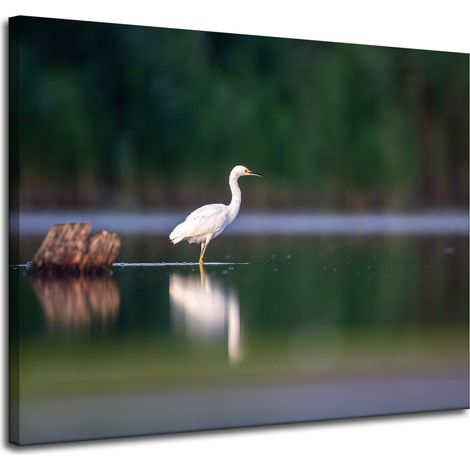 Lienzo impreso con la imagen de una garza blanca (100x80 cm). (1/4)
