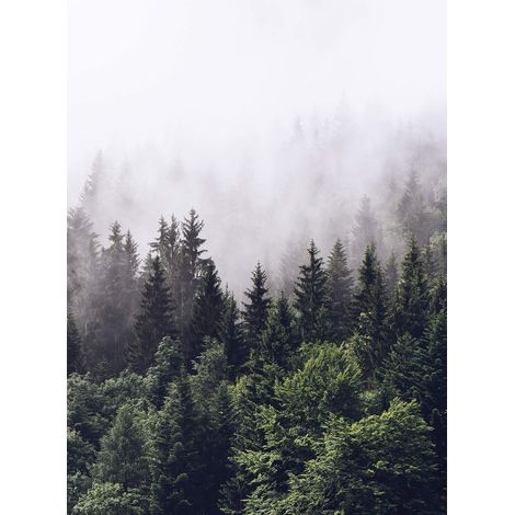 Papier peint panoramique arbre vert & gris | Tapisserie panoramique nature & brouillard pour chambre | Papier peint panoramique forêt de sapin idéal salon - 192 X 260 cm (4 pièces) (1/2)