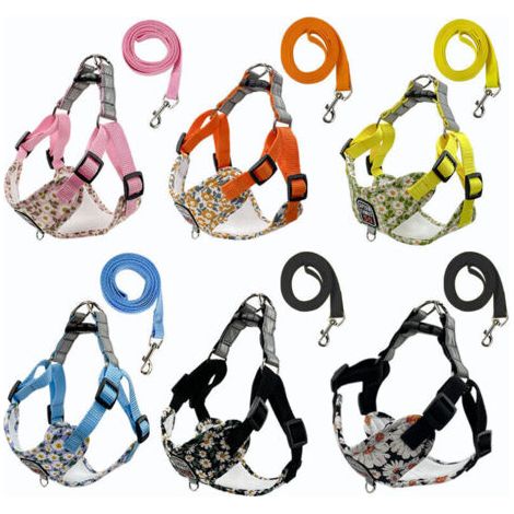 QORVA-Fournitures pour animaux de compagnie Laisse respirante pour chien Laisse imprimée pour chien de promenade pour chien de petite et moyenne taille Nouveau harnais pour animaux de compagnie en gro (1/2)