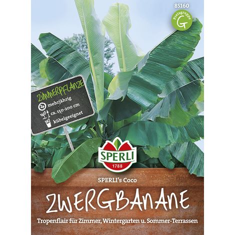 Sperli Zwergbananen SPERLI´s Coco - Blumensamen (1/2)