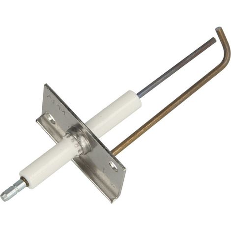 Électrode d’ionisation