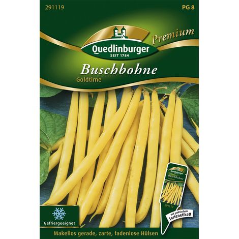 Quedlinburger Saatgut – Haricot nain Goldtime – Graines de légumes, gousses jaune doré de 13 cm, hauteur env. 40 cm (1/2)