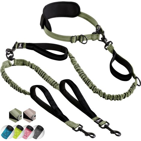 Laisse mains libre pour 2 chiens grande et moyenne taille – laisse anti-traction avec coutures réfléchissantes pour chien - accessoire chien pour le jogging, la marche à pied, la randonnée, l’escalade (1/5)