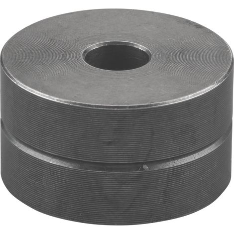 Führungsrolle 381609