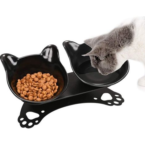 Dailygoody, Comedero elevado, Comedero antideslizante para gatos, Diseño inclinable de 15°, Cuenco transparente y negro, Apto para gatos (1/5)